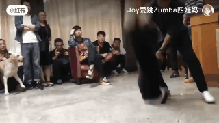 百萬粉絲“訓犬師”上課虐打邊牧！拉布拉多想去救它，卻被…網(wǎng)友