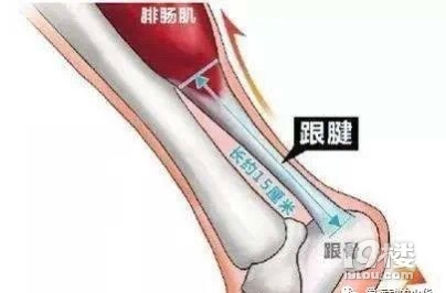 跑步落地方式—前腳掌還是腳后跟？