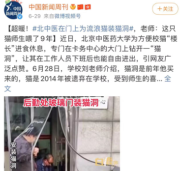 高校流浪貓表面風(fēng)光，背地里卻被學(xué)生拉著做題…網(wǎng)友：這不欺負(fù)文