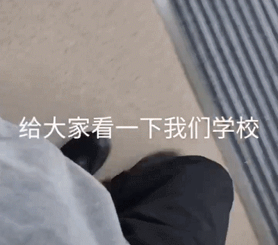 高校流浪貓表面風(fēng)光，背地里卻被學(xué)生拉著做題…網(wǎng)友：這不欺負(fù)文