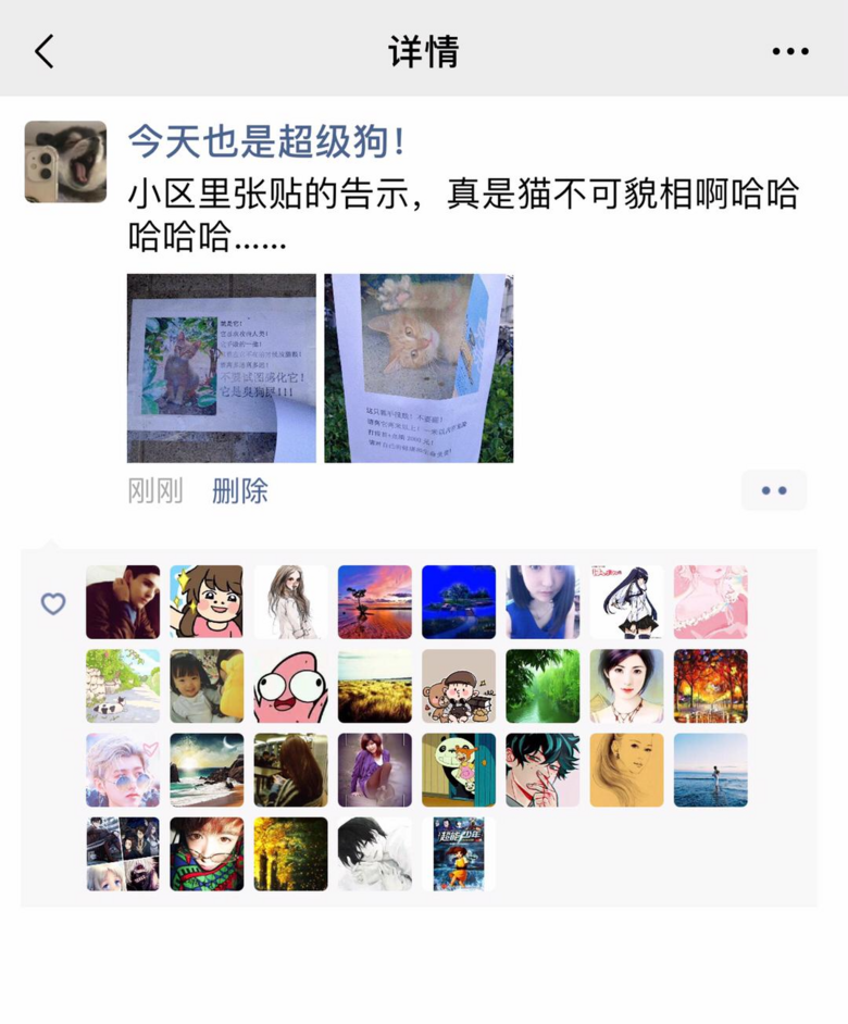 網(wǎng)友意外看到一個告示，上面寫滿了對小貓咪的貓格侮辱…
