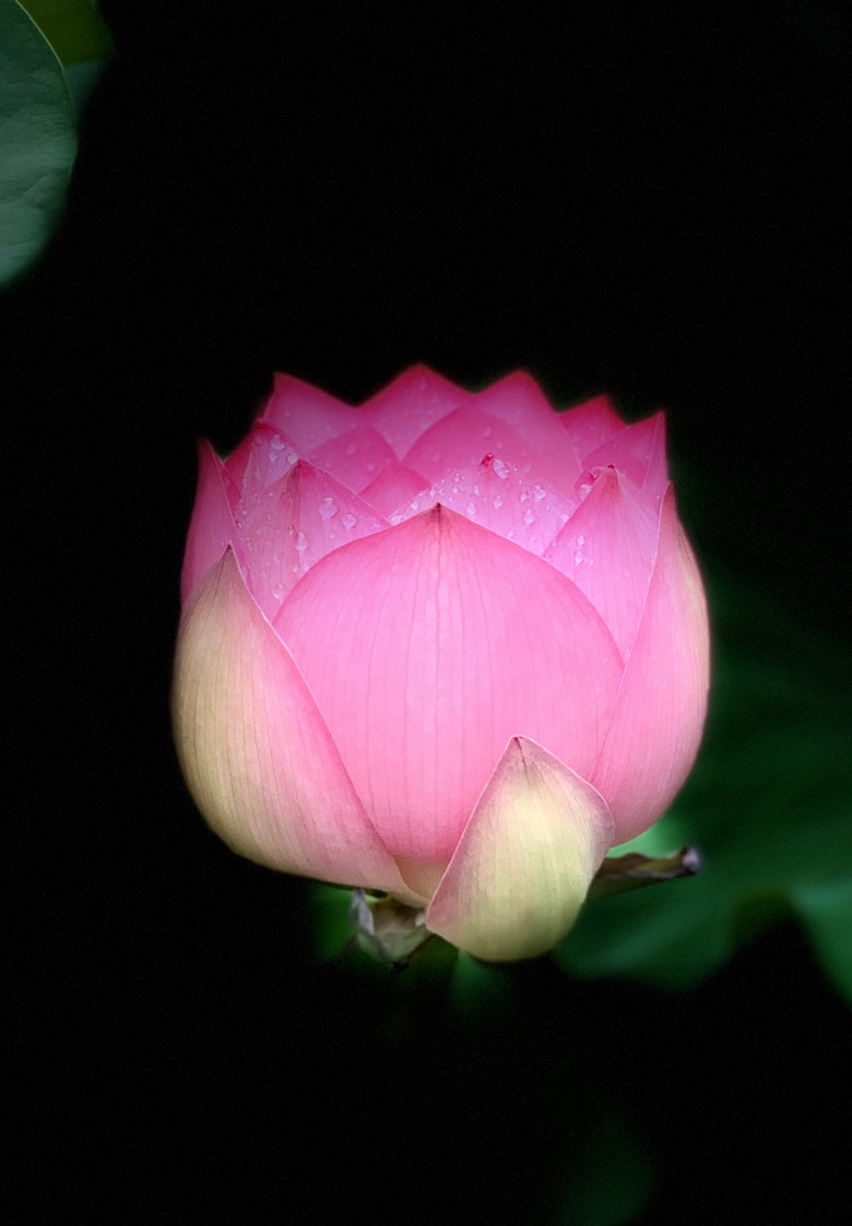 2022.07.16ϔzHH҈@ڣķСɻ