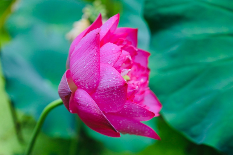 2022.07.16ϔzHH҈@ķСɻ