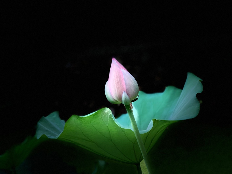 2022.07.16ϔzHH҈@ڣķСɻ