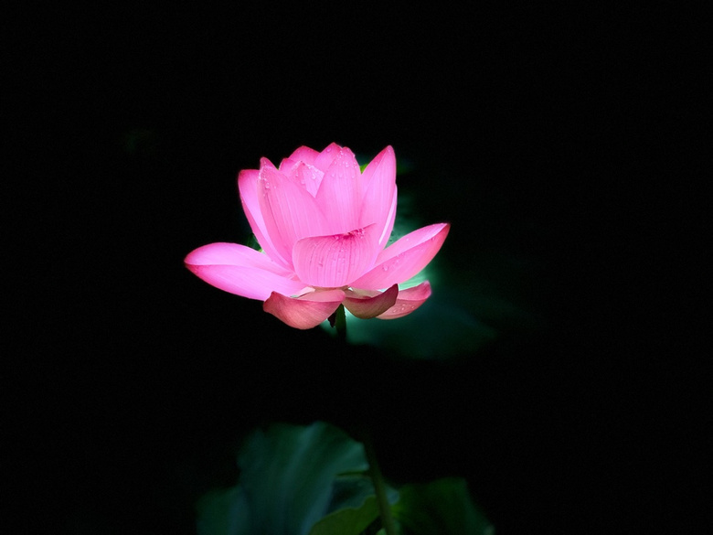 2022.07.16ϔzHH҈@ķСɻ