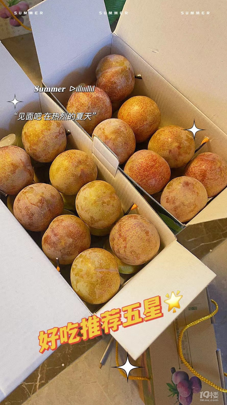 桃形李