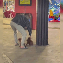 帶兩只柴犬出門，一個(gè)往左一個(gè)往右…30斤身體，29斤反骨哈哈