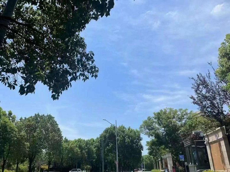 �����չ��ء�ά��С�����ױ���ľ���׶�