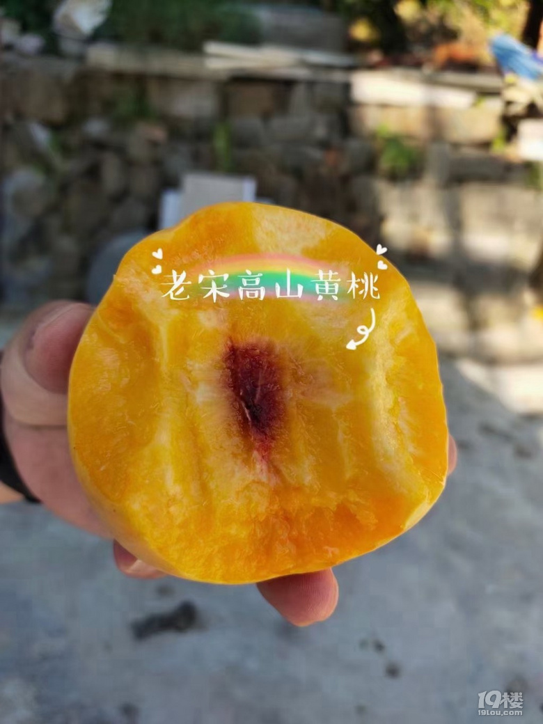 ˮ