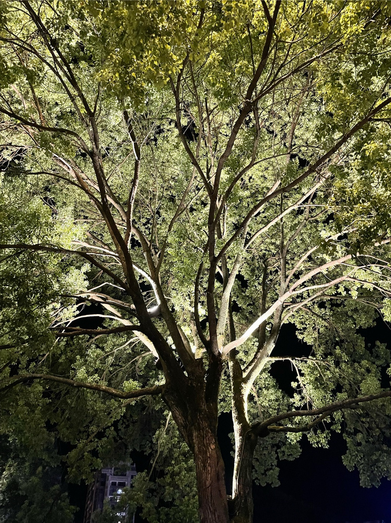 ɽˮ˸áǧu
