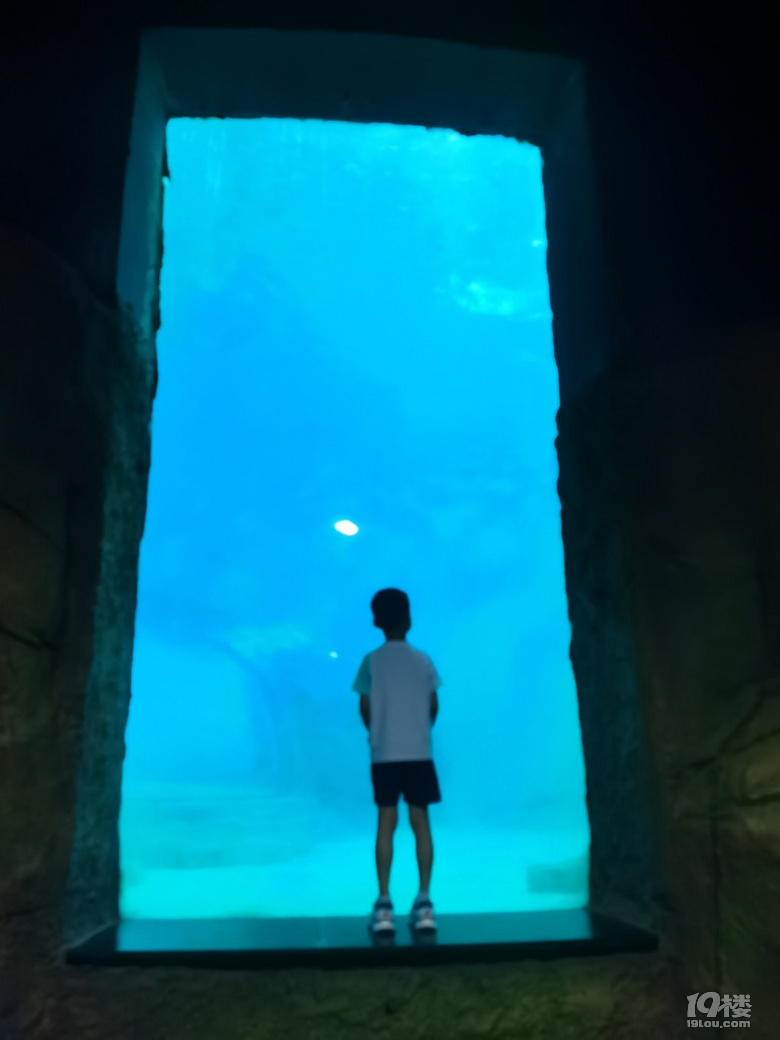 長喬極地海洋公園，值不值得玩？