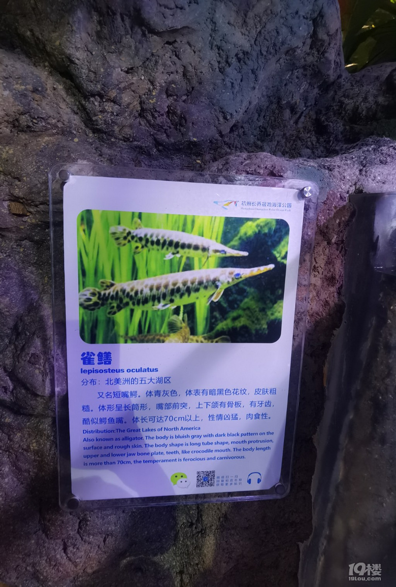 長喬極地海洋公園，值不值得玩？