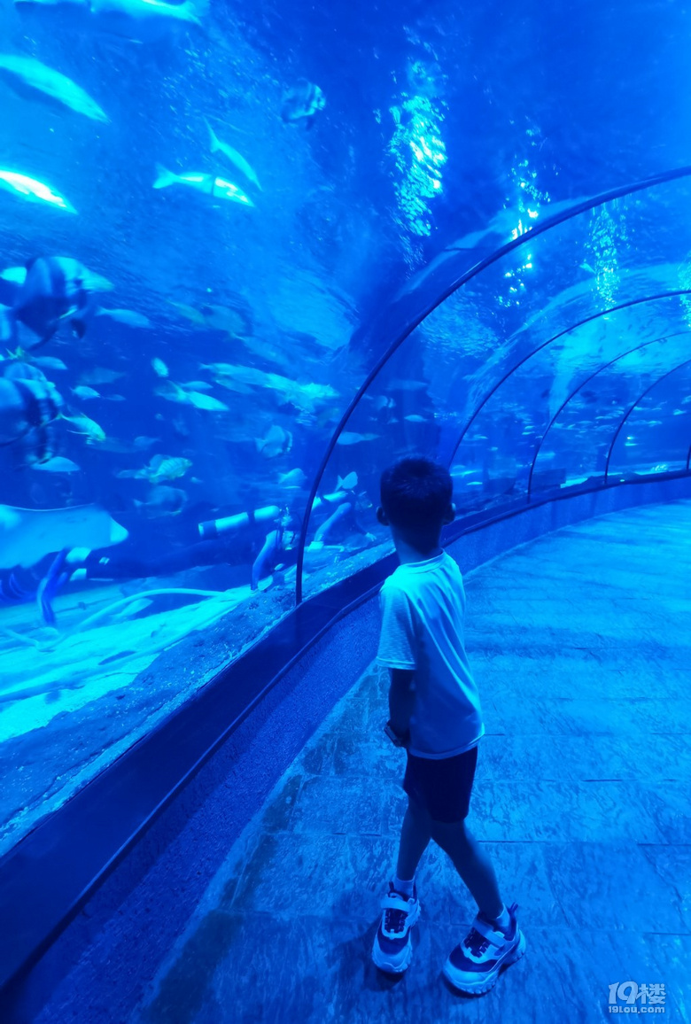 長喬極地海洋公園，值不值得玩？