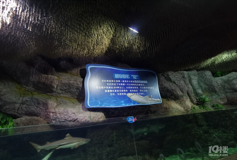 長喬極地海洋公園，值不值得玩？