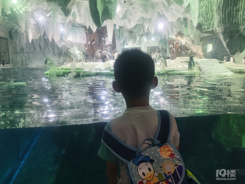 長喬極地海洋公園，值不值得玩？