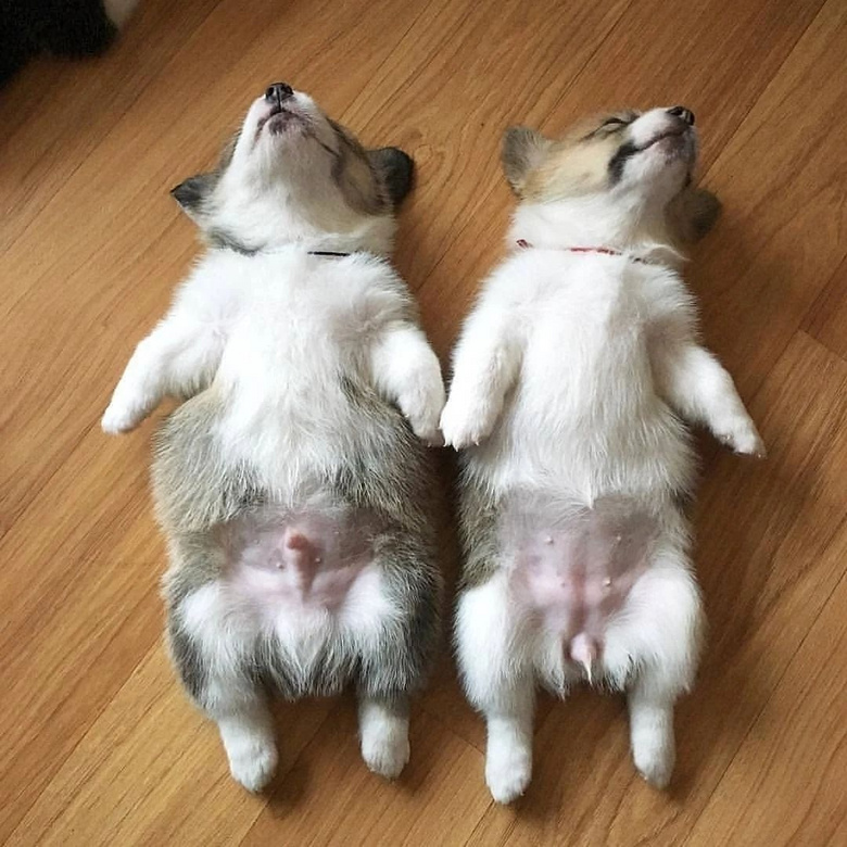 oжS㣬ǰѵֱÁðɣ