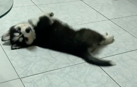 oжSǰѵֱÁðɣ