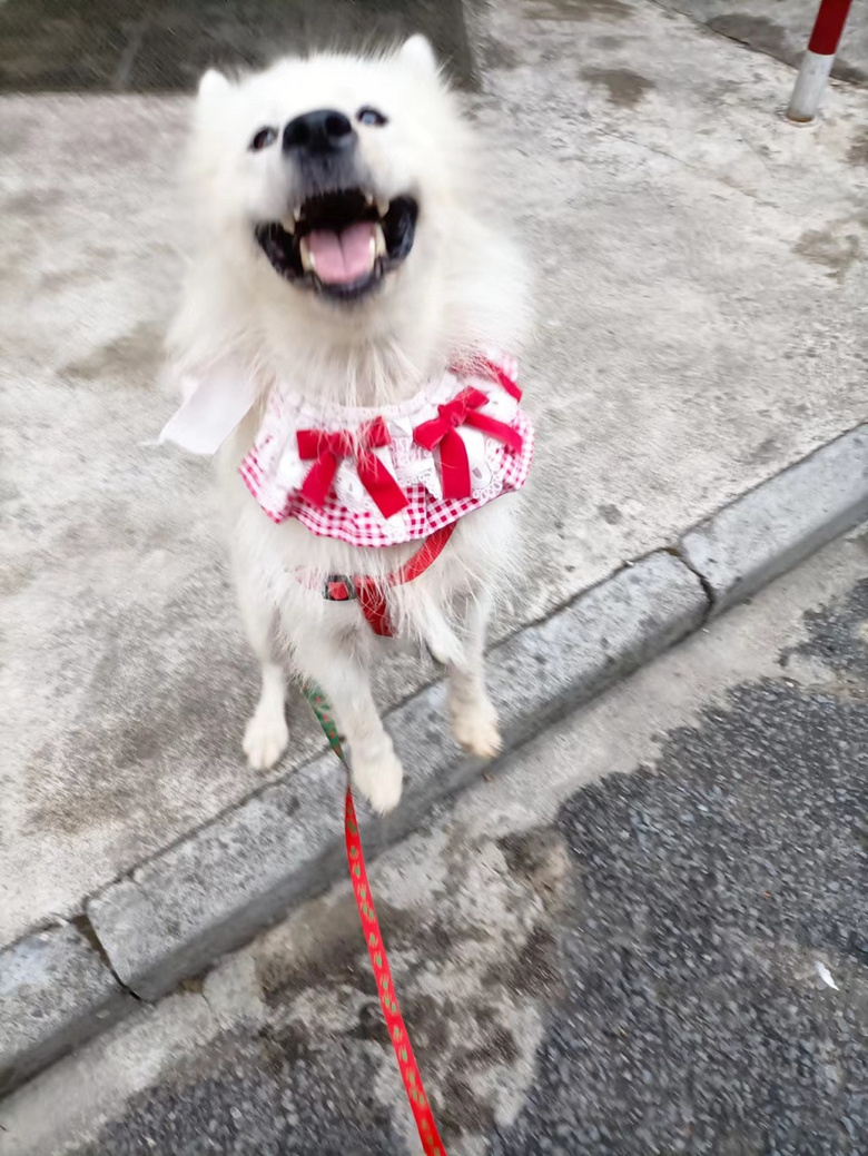 ΢Цʹ_ĦҮҲz?j)ֻ_ĦI(lng)B(yng)