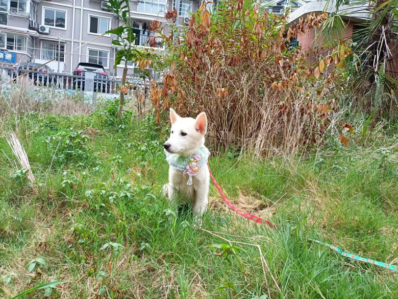 ΢Цʹ_ĦҮҲz?j)ֻ_ĦI(lng)B(yng)