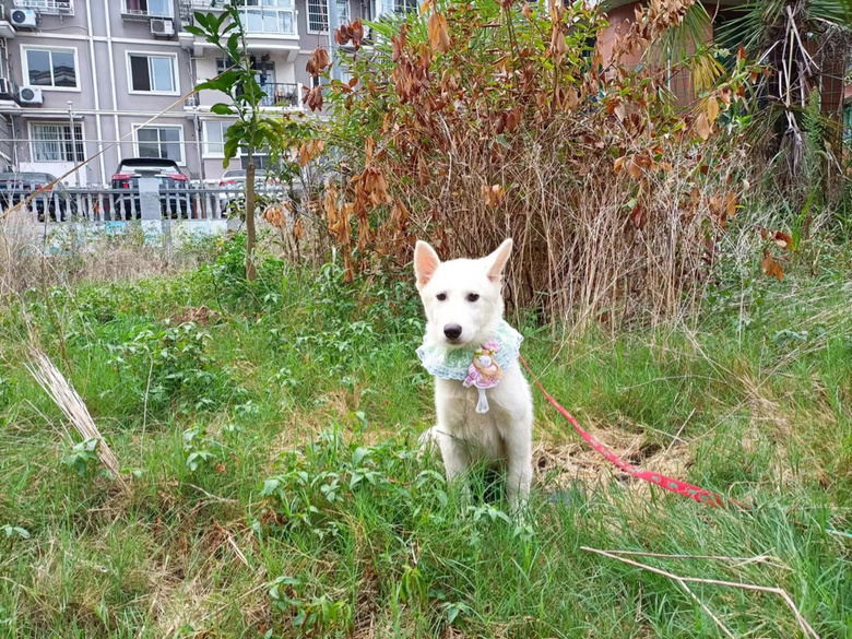 ΢Цʹ_ĦҮҲz?j)ֻ_ĦI(lng)B(yng)