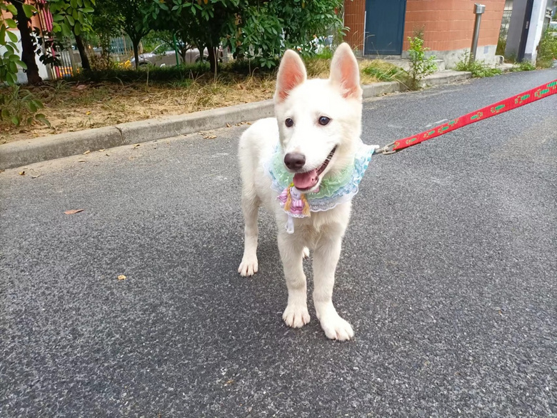 ΢Цʹ_ĦҮҲz?j)ֻ_ĦI(lng)B(yng)