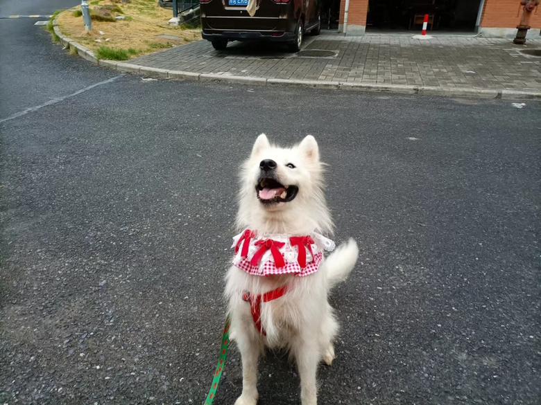 ΢Цʹ_ĦҮҲz?j)ֻ_ĦI(lng)B(yng)