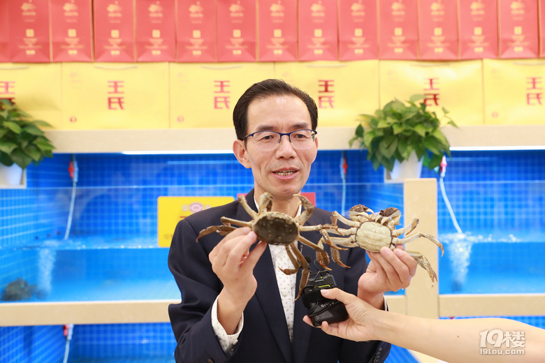 肉肥膏黃值得等 王氏大閘蟹9月28日正式提貨
