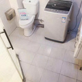 鿴ß