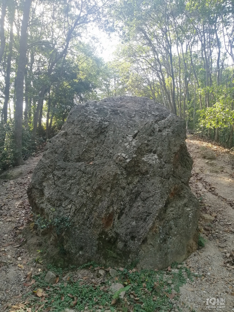 清風拂面，我欲高飛——登娘娘山有感
