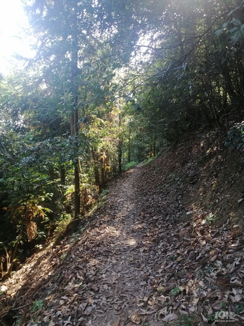 清風拂面，我欲高飛——登娘娘山有感