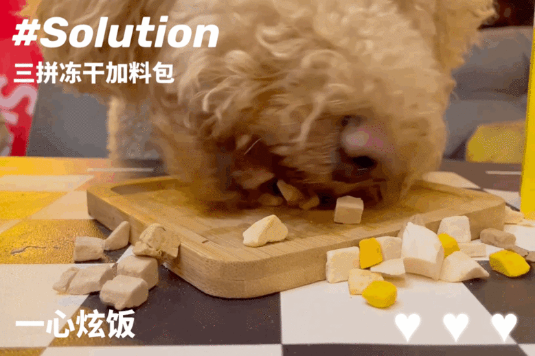 主人下班發(fā)現(xiàn)家里被打掃得一塵不染，狗子：“是的，我收拾的！”