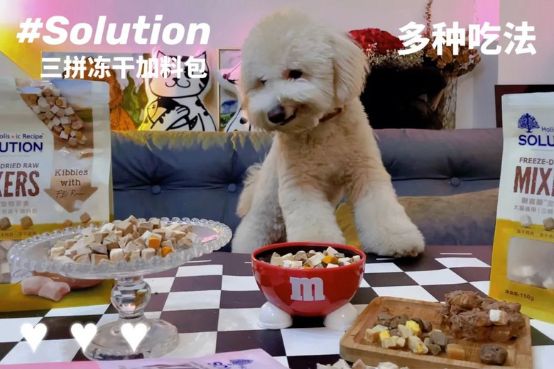 主人下班發(fā)現(xiàn)家里被打掃得一塵不染，狗子：“是的，我收拾的！”