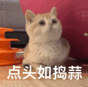 貓咪腳被魚鉤勾住，跑消防隊(duì)求助…臨走前被摸貓頭叮囑：以后別這