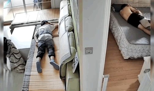 二哈見小主人睡覺，趕緊把爸爸身上的被子拽過來給他…網(wǎng)友：是個