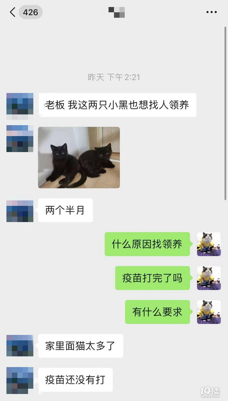 小朋友找領養(yǎng)