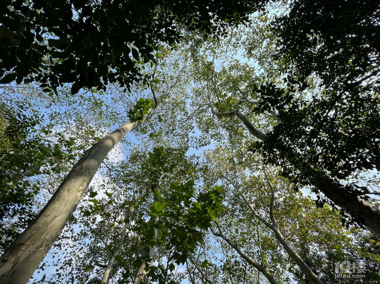 《剪刀手講杭州故事》—涼露金秋，秋天來(lái)了