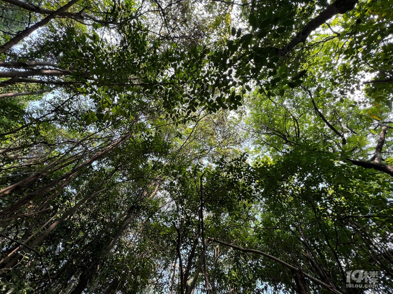 《剪刀手講杭州故事》—涼露金秋，秋天來(lái)了