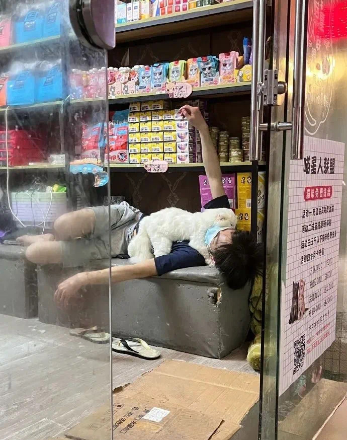 小哥被貓吸到頭發(fā)凌亂，無心工作，最后離家出走…網(wǎng)友：這福氣給