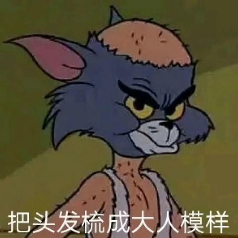 貓咪摔倒在地，小臉腫成車座子…網(wǎng)友：不許笑，我先騎走了！