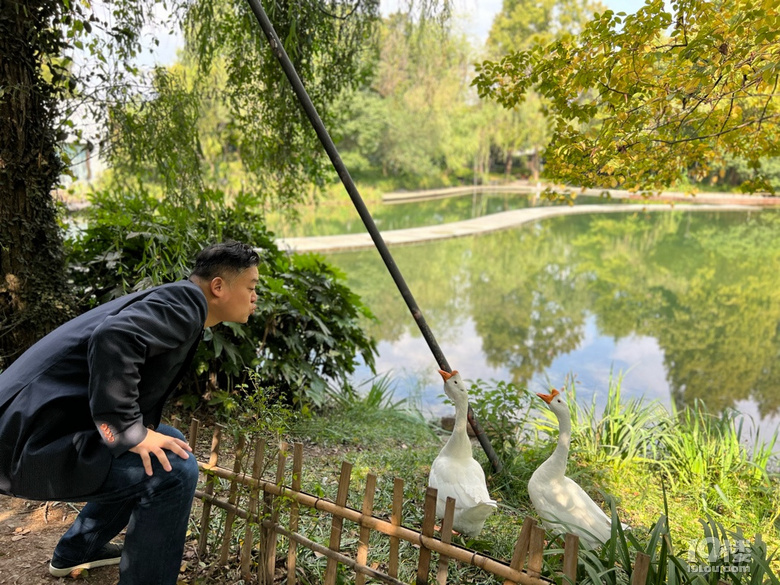 《剪刀手講杭州故事》—濕地之秋