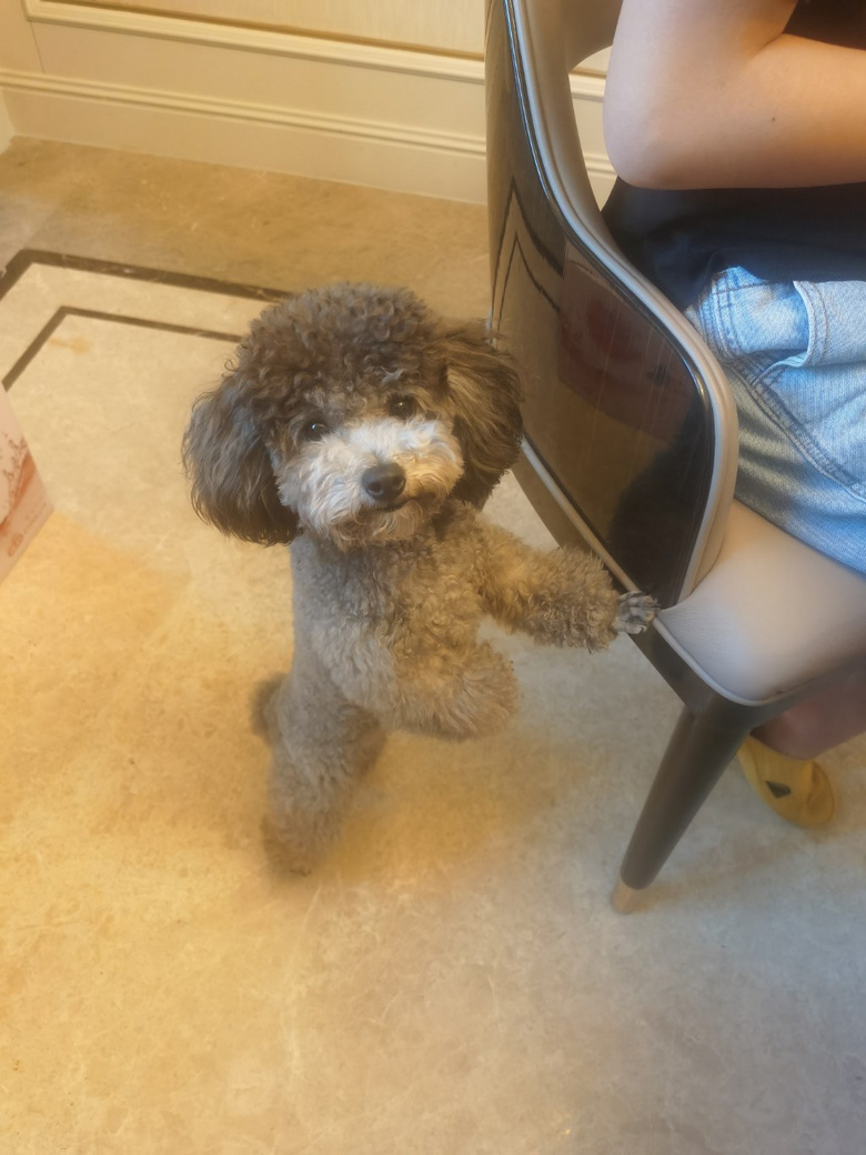 2.5qĸ̩I(lng)B(yng)ڹ׃(dng)ֻʹ