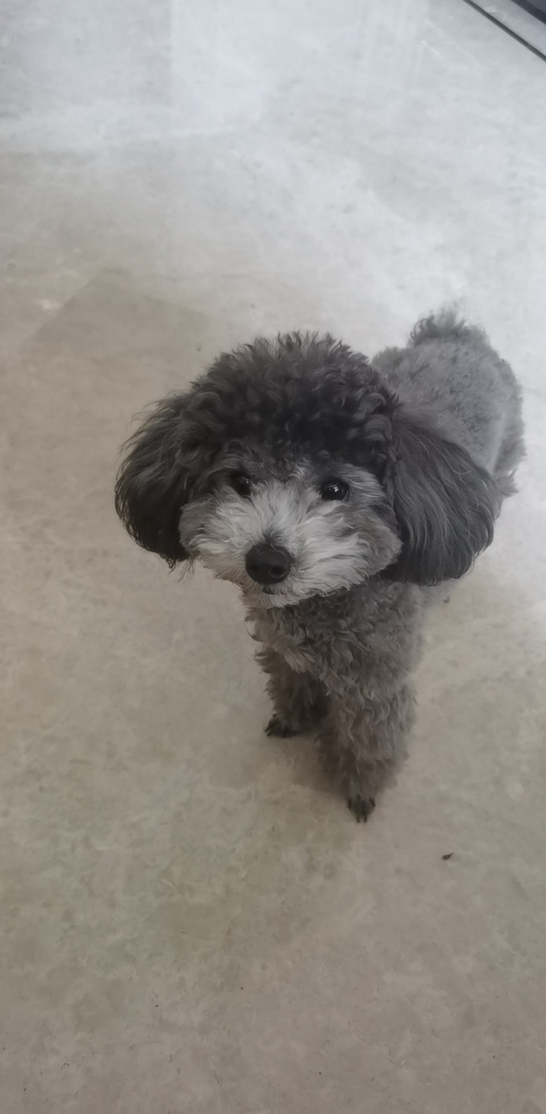 2.5qĸ̩I(lng)B(yng)ڹ׃(dng)ֻʹ