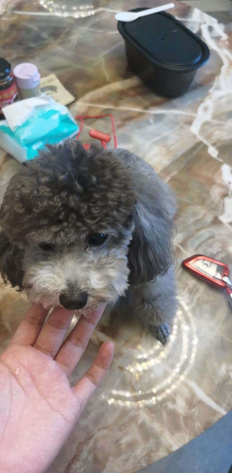 2.5qĸ̩I(lng)B(yng)ڹ׃(dng)ֻʹ