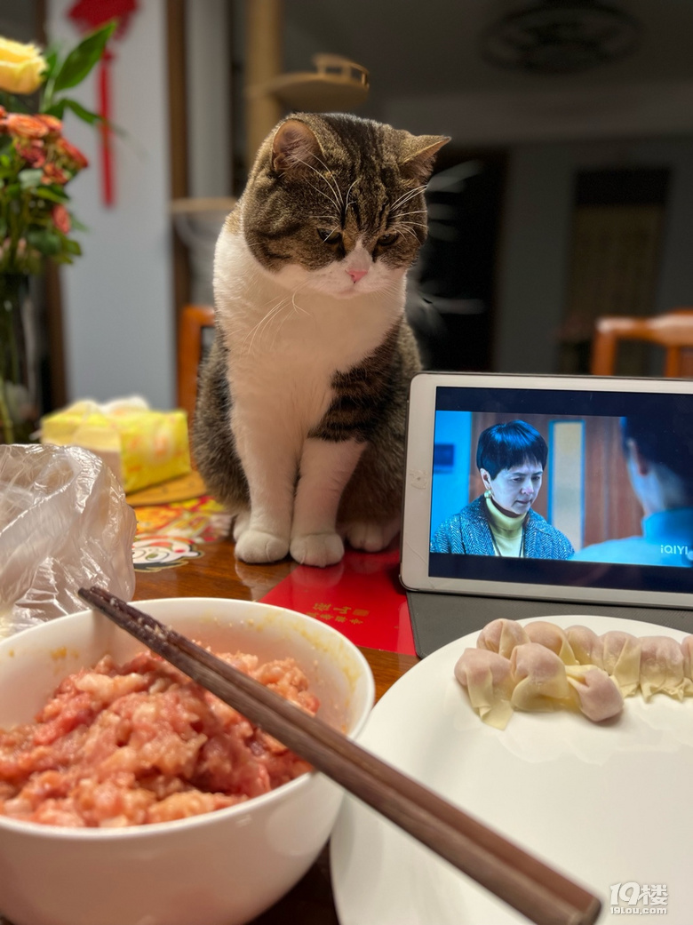 自己包的餛燉肉多多……