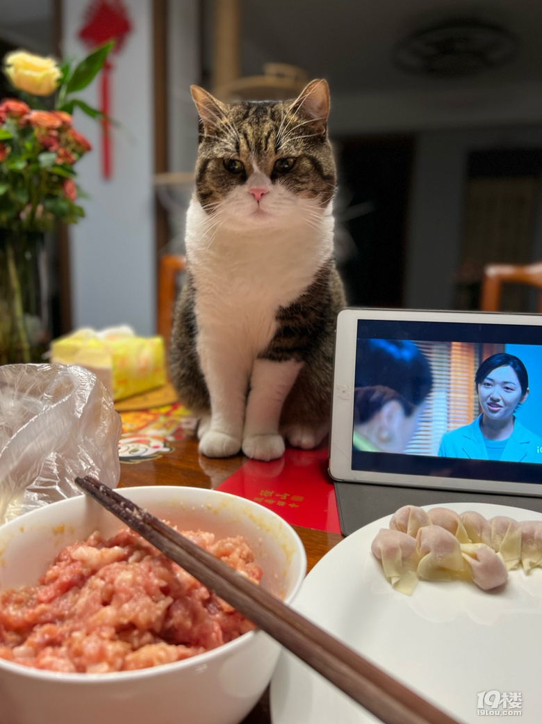 自己包的餛燉肉多多……