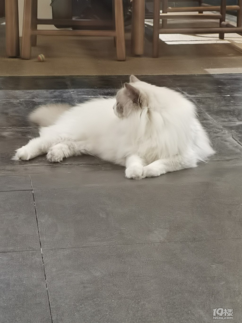 ·@[