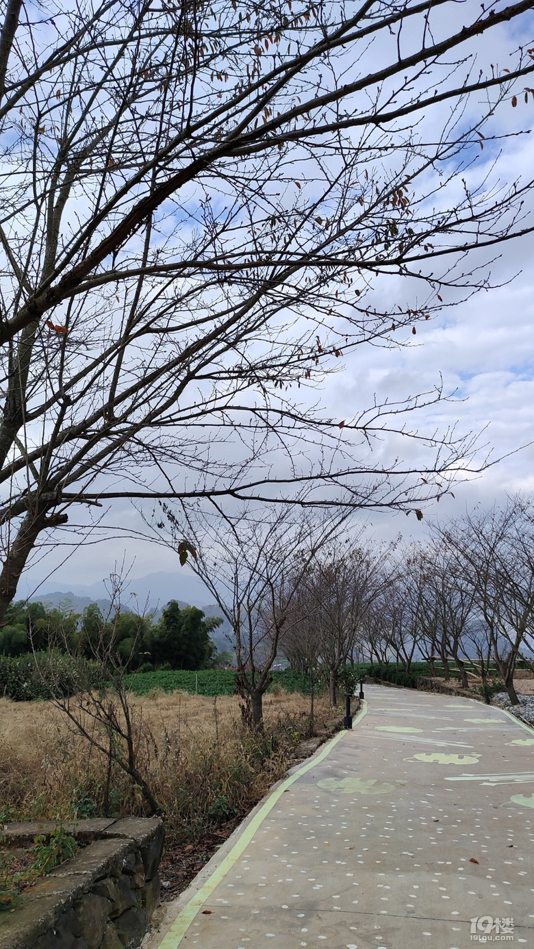 路過