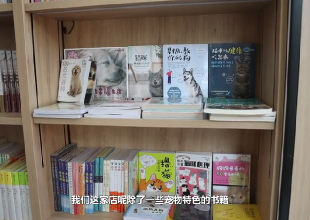 新華書店領養(yǎng)退役種貓當店員…網友：高低得去一次！