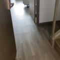 鿴ß