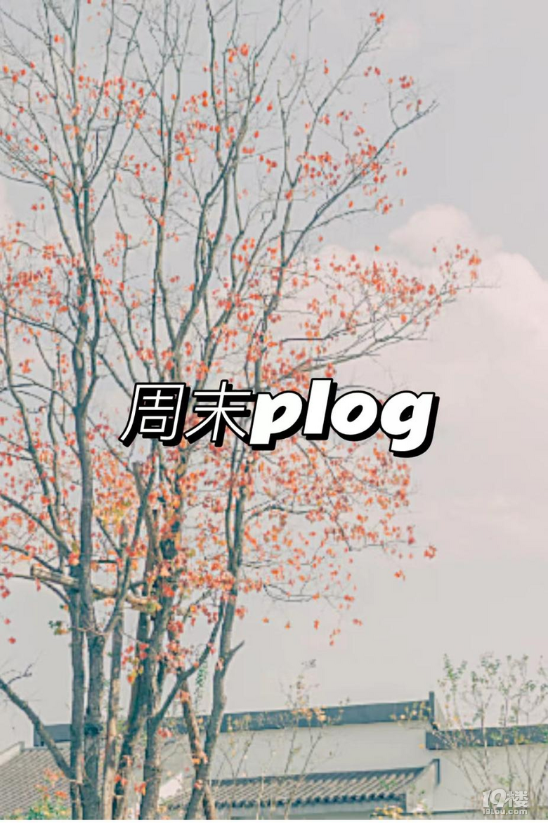 旅行攻略|元旦去千島湖旅游，這份攻略一定要知道